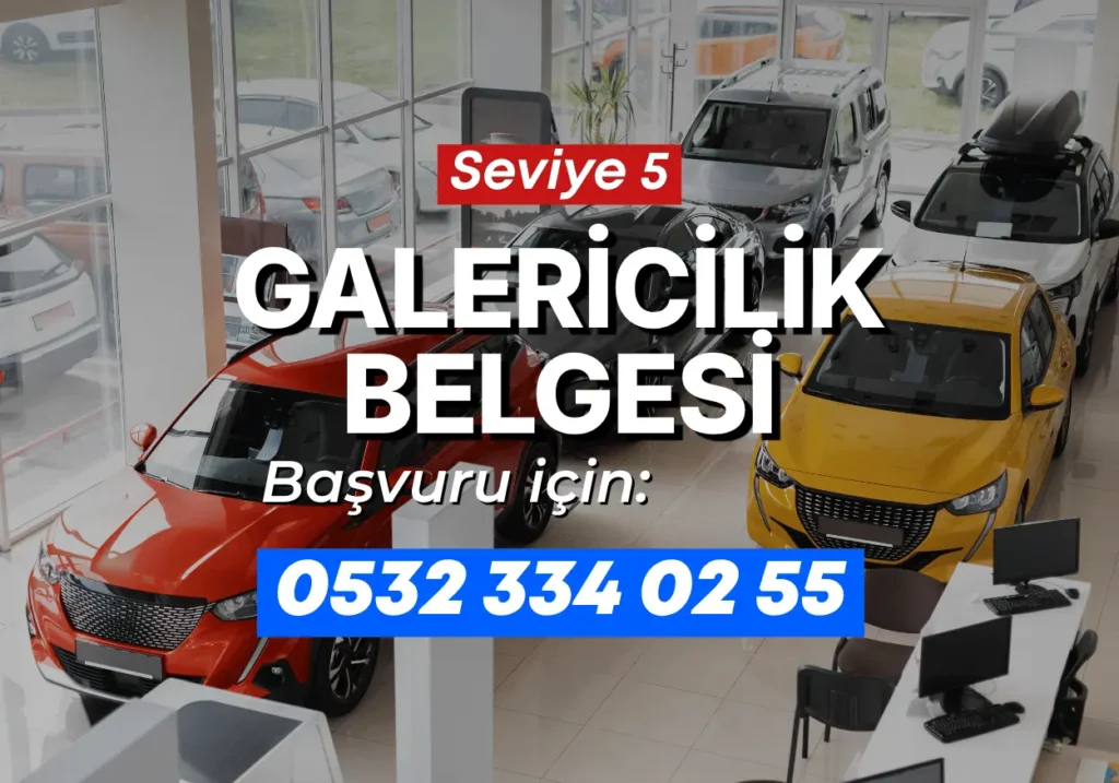 seviye 5 galericilik belgesi
